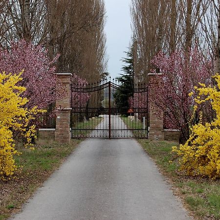 Agriturismo Corte Rocca 산조르죠디만토바 외부 사진