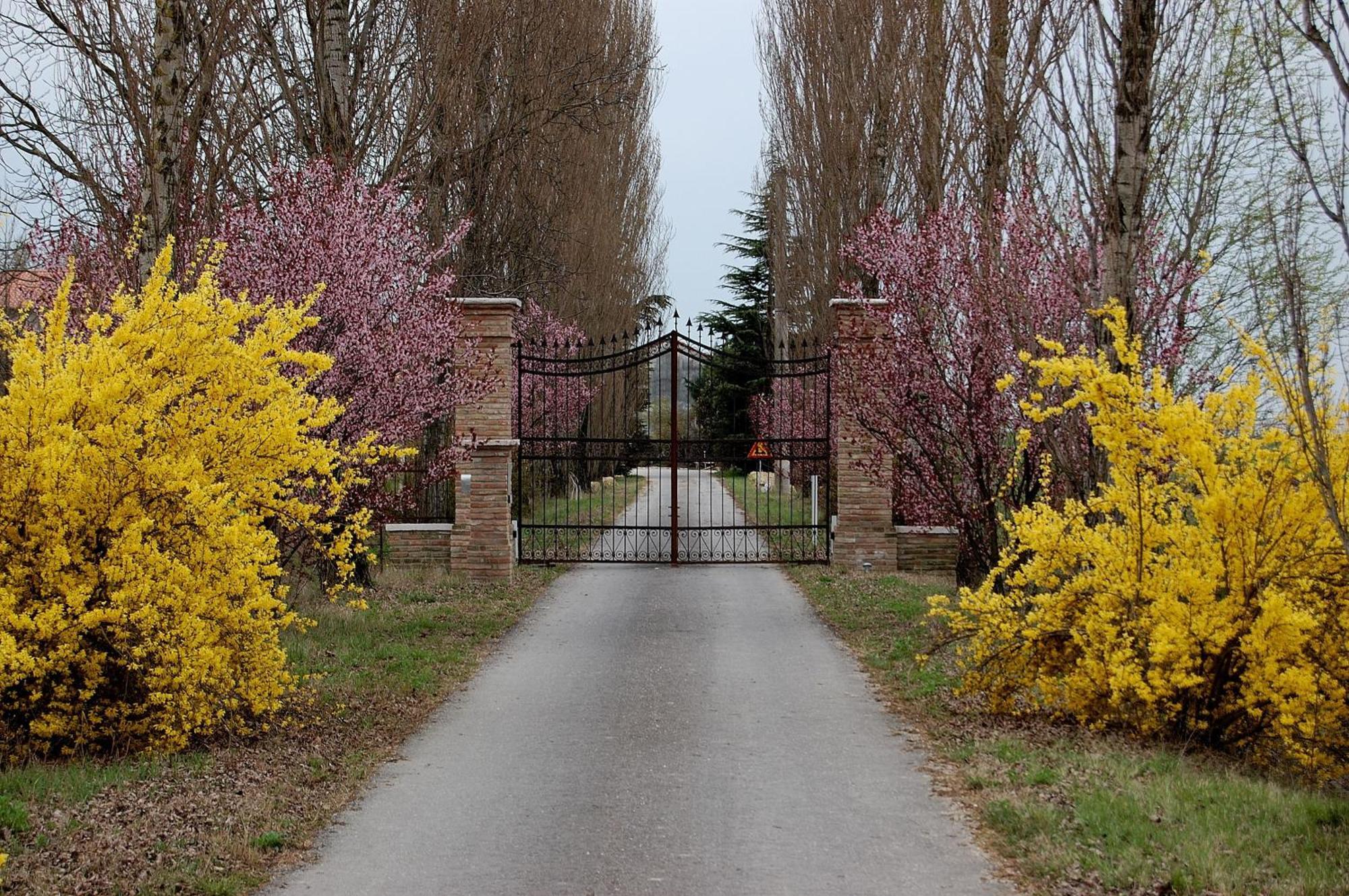 Agriturismo Corte Rocca 산조르죠디만토바 외부 사진