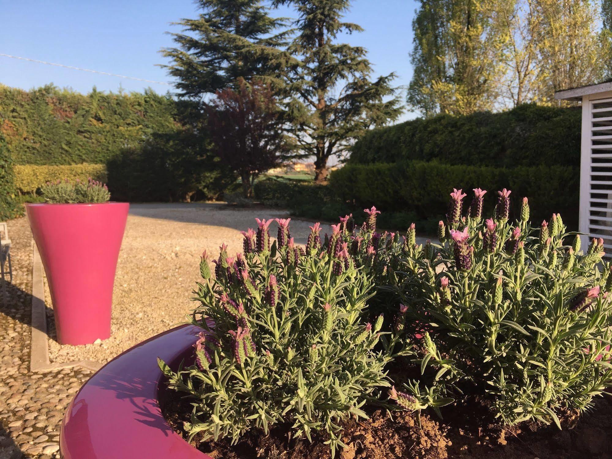 Agriturismo Corte Rocca 산조르죠디만토바 외부 사진